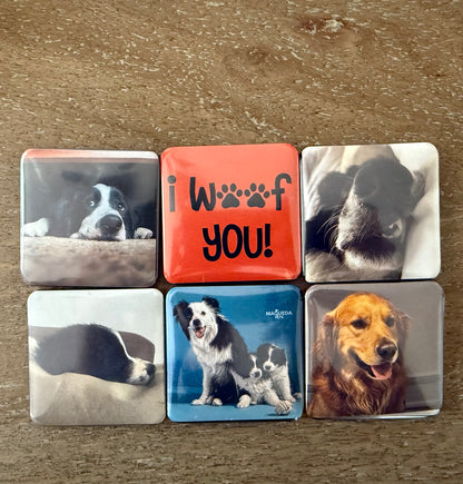 IMANES PERSONALIZADOS 5X5 CMS