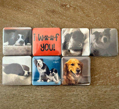 IMANES PERSONALIZADOS 5X5 CMS